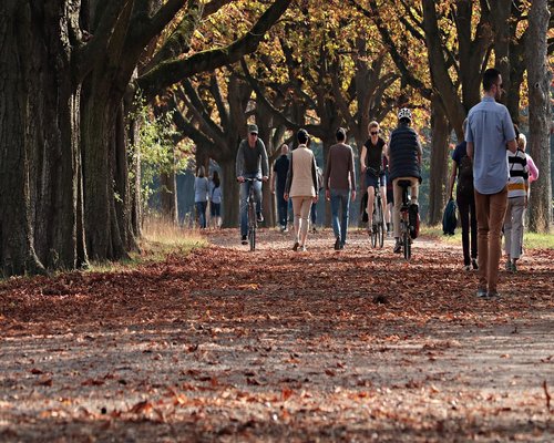People walking in an Indian park at sunset